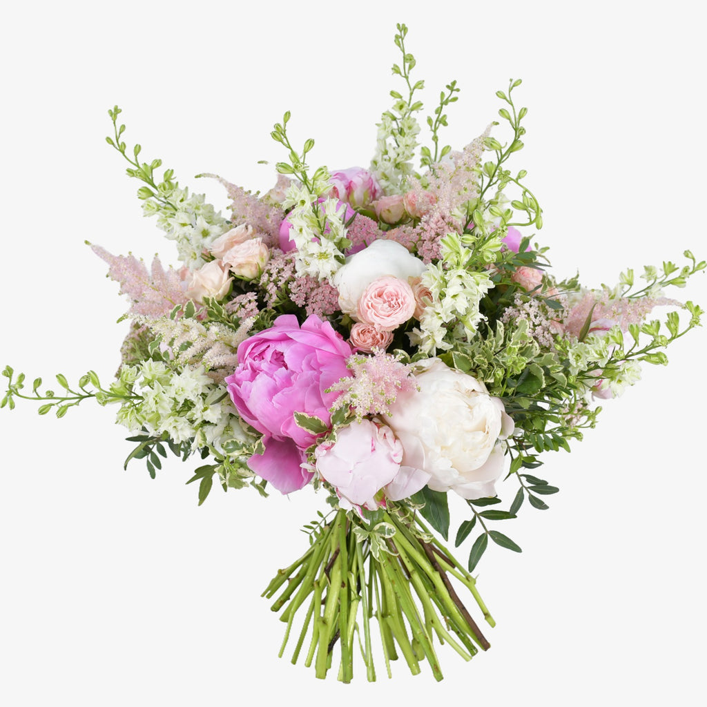 Vintage Peonies