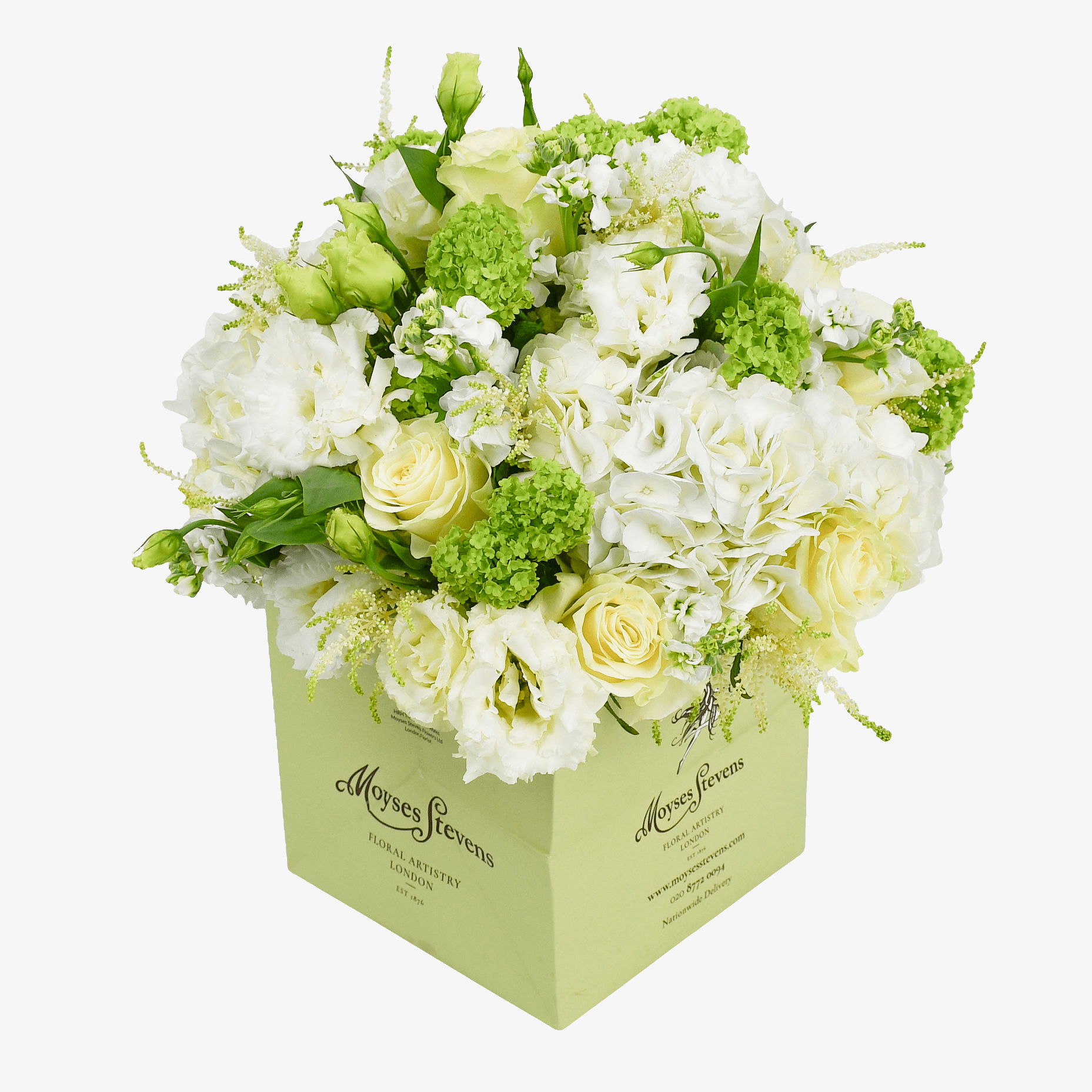 White And Green