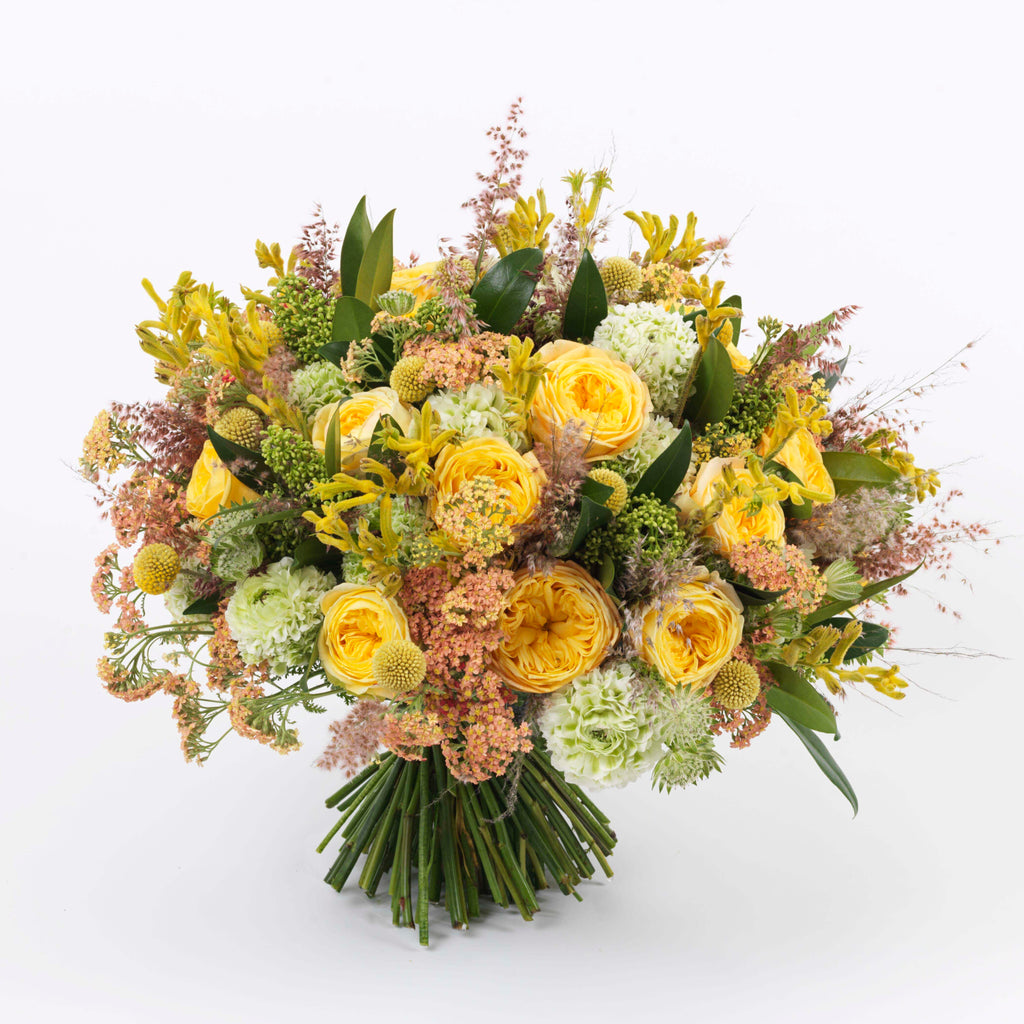Yellow Splendour