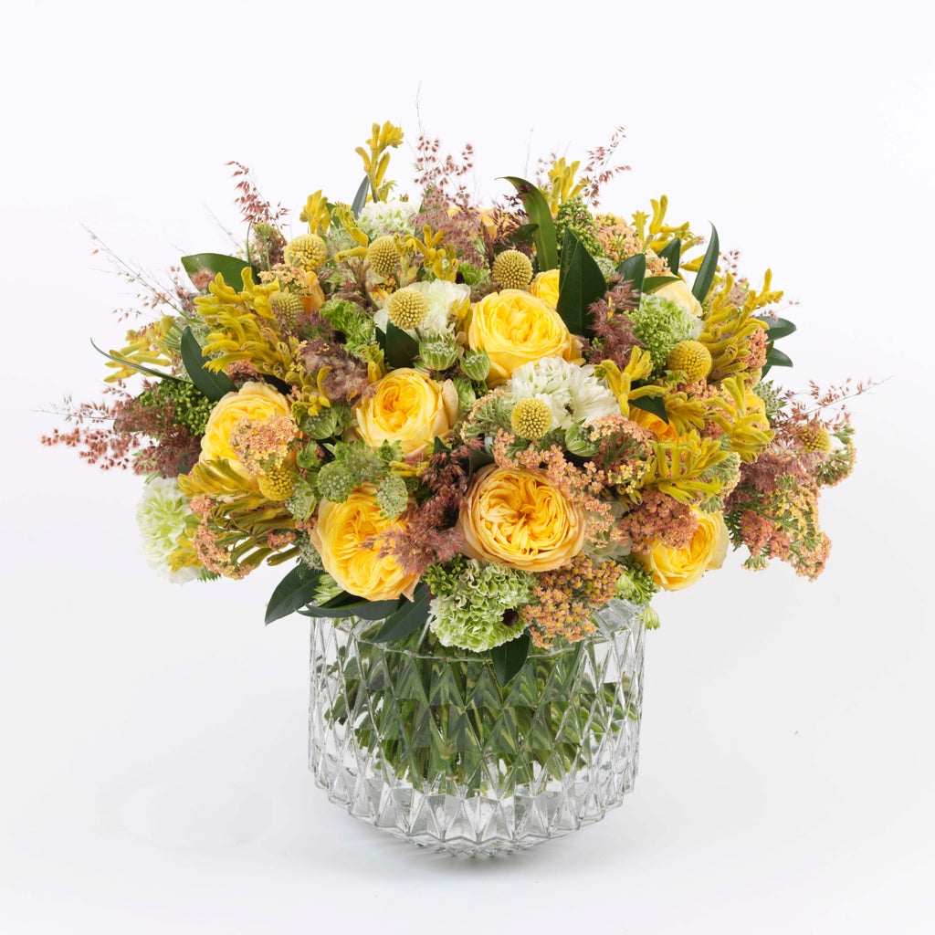 Yellow Splendour